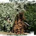 NYC Tornado 1 of 13