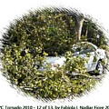 NYC Tornado 12 of 13