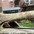 NYC Tornado 13 of 13